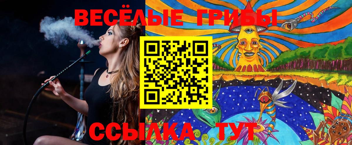 Псилоцибиновые грибы MAGIC MUSHROOMS  Вход с VPN  Галлюциногенные грибы Psilocybine cubensis  Богородск 