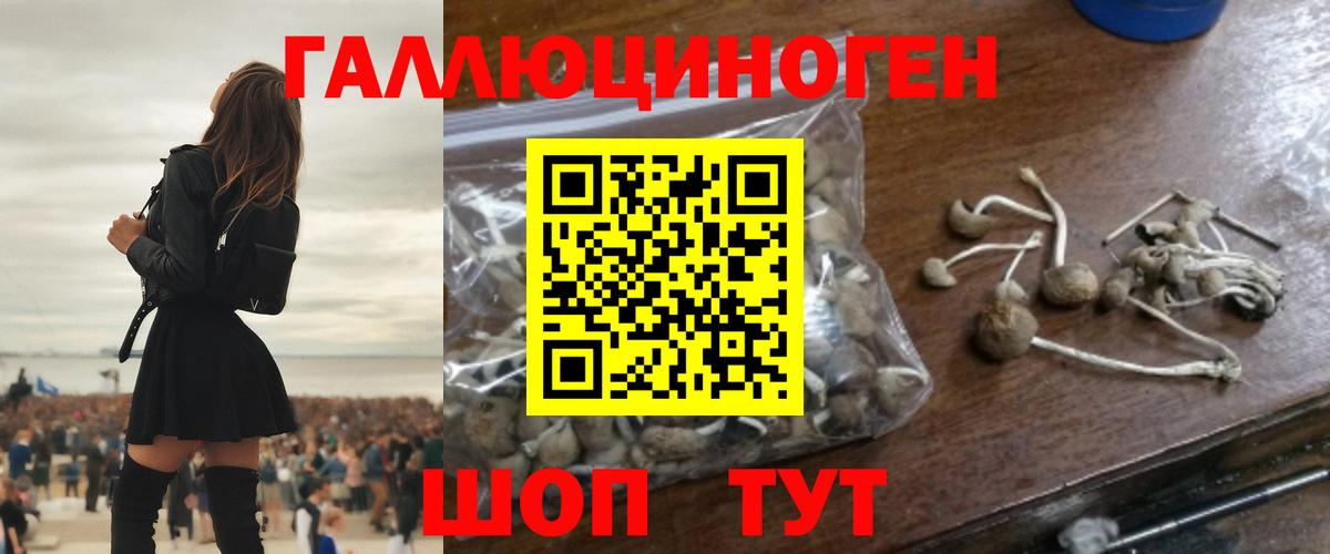 Псилоцибиновые грибы Magic Shrooms Богородск